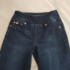 DG2 by Diane Gilman Dark Blue Women's Jeggings